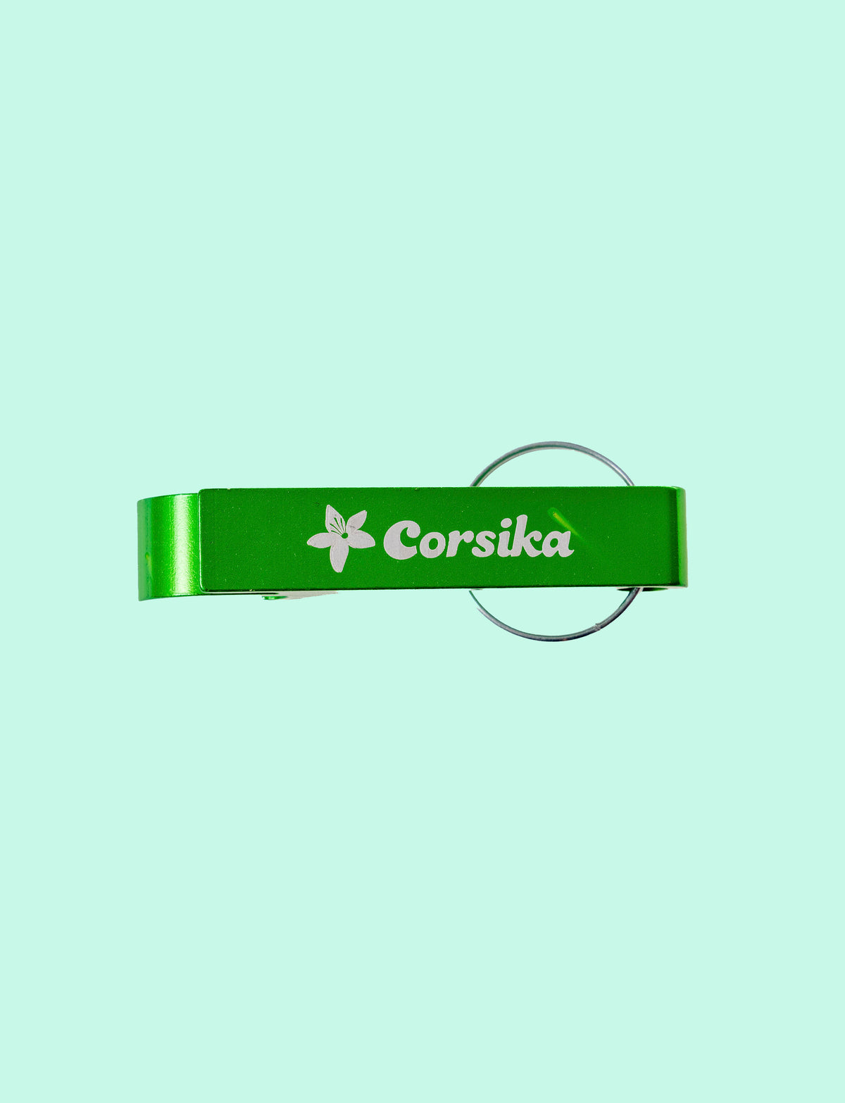 Keyring opener