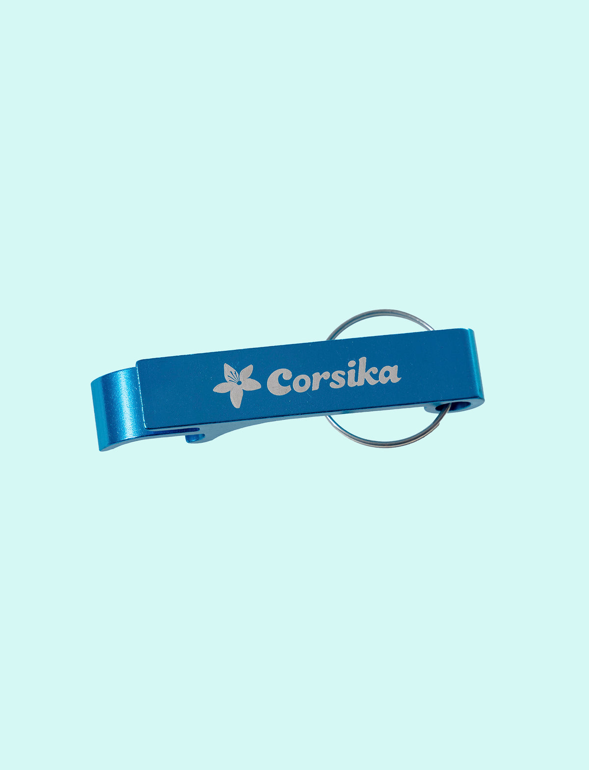 Keyring opener