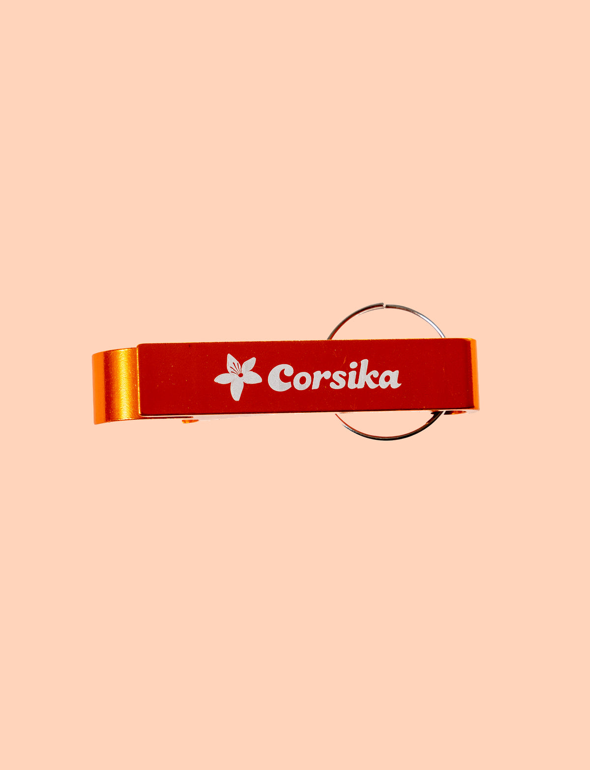 Keyring opener